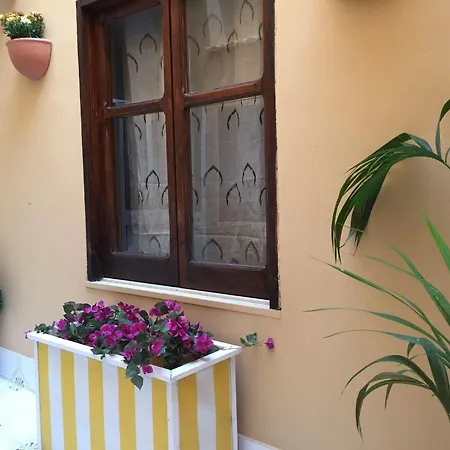 Guest house Voila 3*